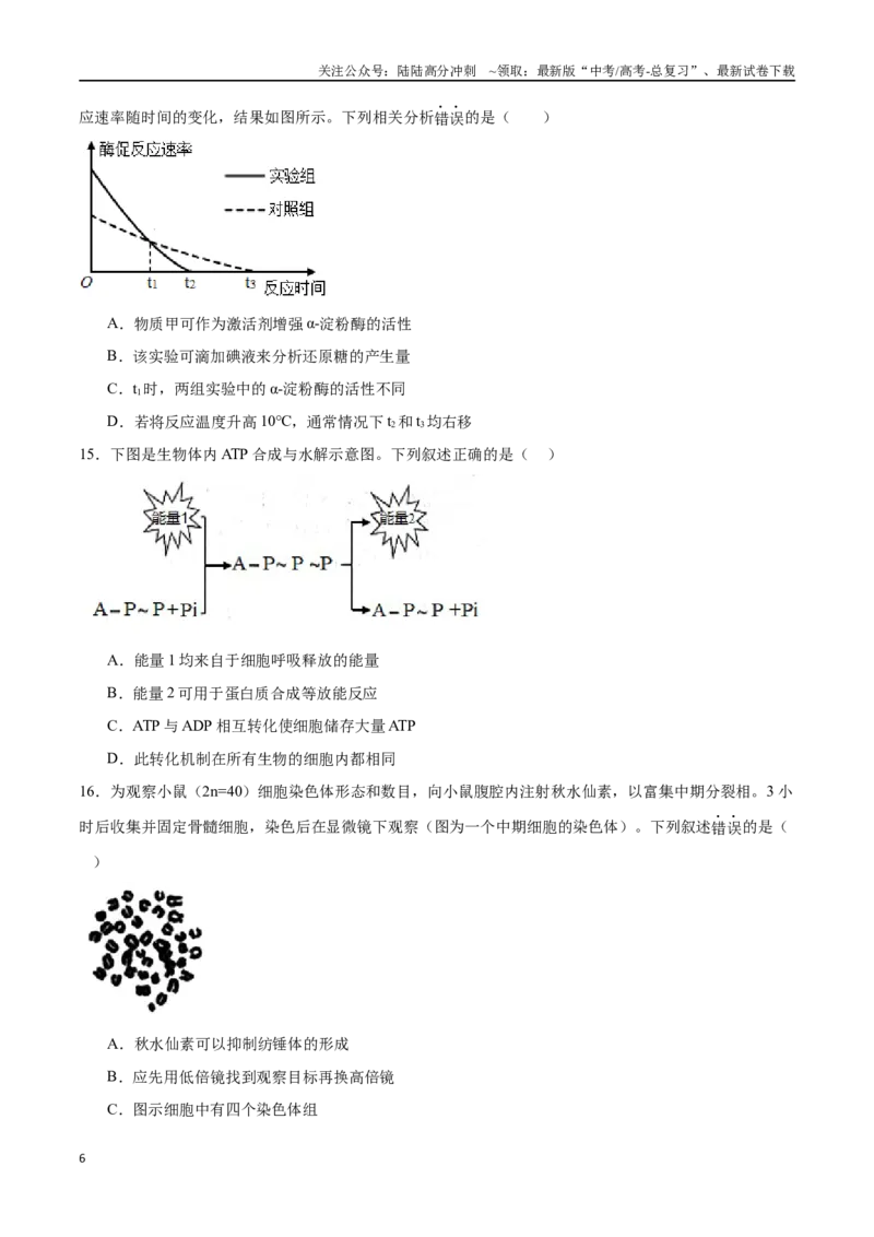 《必修1分子与细胞必刷卷03（原卷版）_06-生物-高考总复习_一轮复习_2024年_2024年高考生物一轮复习收官必刷卷（新教材新高考）_资料》第6页预览
