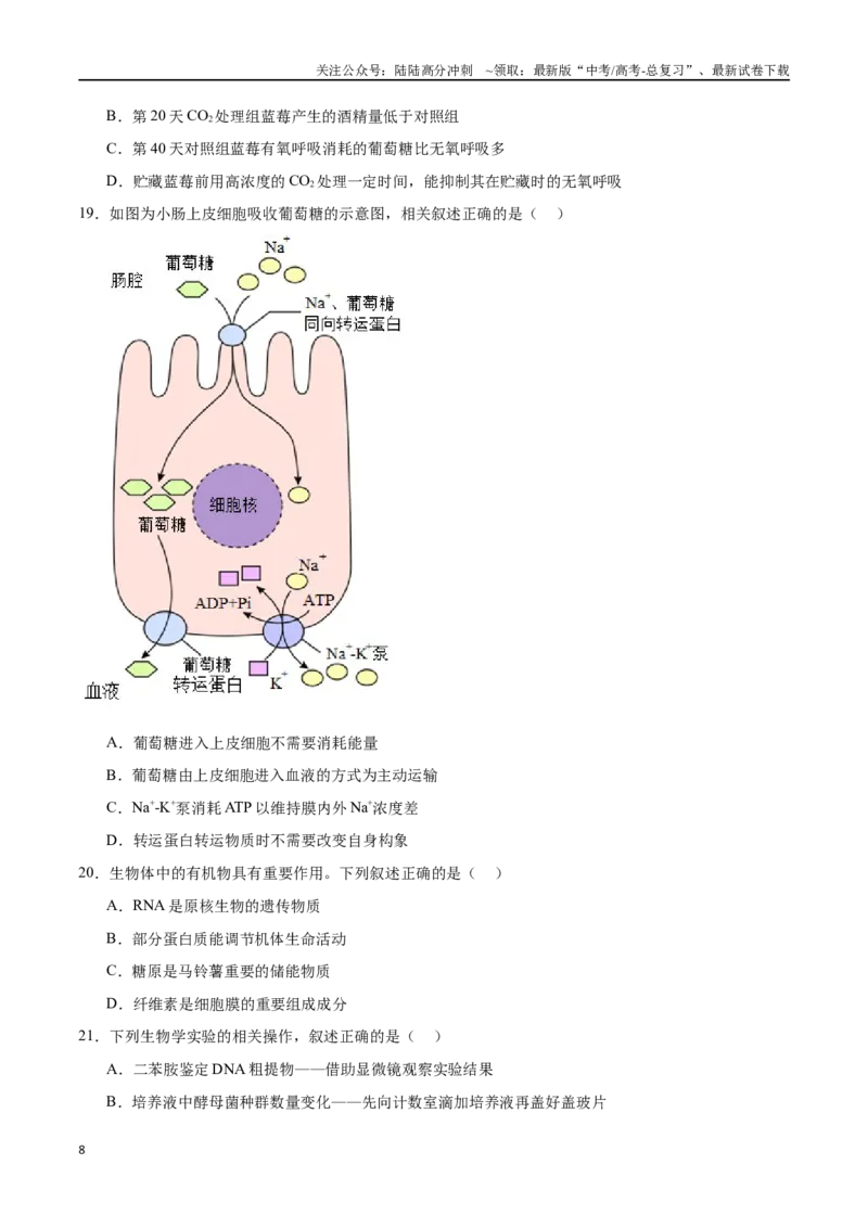 《必修1分子与细胞必刷卷03（原卷版）_06-生物-高考总复习_一轮复习_2024年_2024年高考生物一轮复习收官必刷卷（新教材新高考）_资料》第8页预览