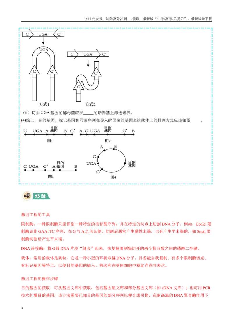 《大题05基因工程（学生版）_06-生物-高考总复习_专项复习_2025年_2025年高考生物大题突破+限时集训（安徽专用）》第3页预览