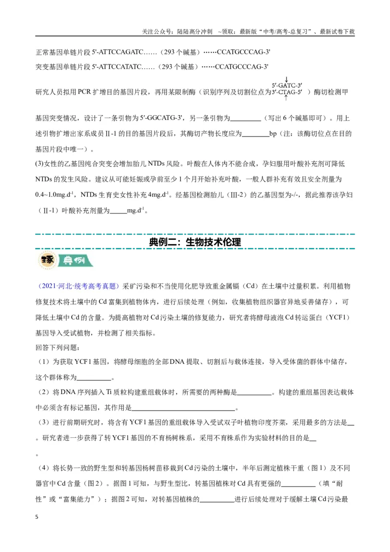 《大题05基因工程（学生版）_06-生物-高考总复习_专项复习_2025年_2025年高考生物大题突破+限时集训（安徽专用）》第5页预览