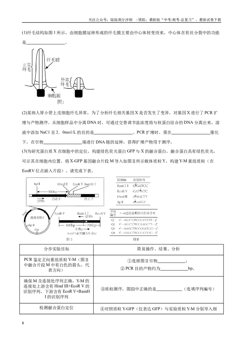 《大题05基因工程（学生版）_06-生物-高考总复习_专项复习_2025年_2025年高考生物大题突破+限时集训（安徽专用）》第8页预览