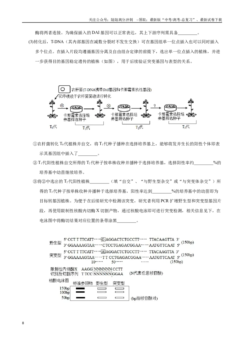 《大题02遗传与进化类（教师版）_06-生物-高考总复习_专项复习_2025年_2025年高考生物大题突破+限时集训（安徽专用）》第8页预览