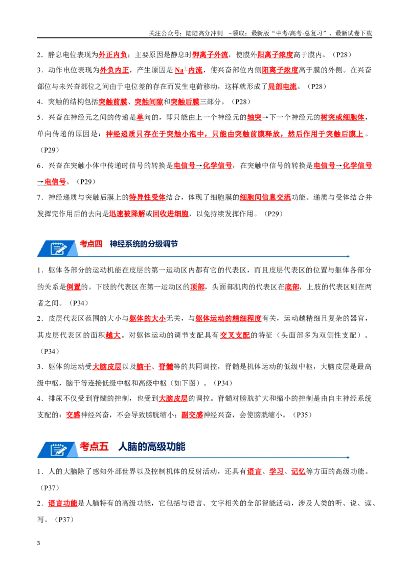 《宝典14神经调节（解析版）_06-生物-高考总复习_一轮复习_2024年_2024年高考生物一轮复习知识清单必背总结全国通用_资料》第3页预览