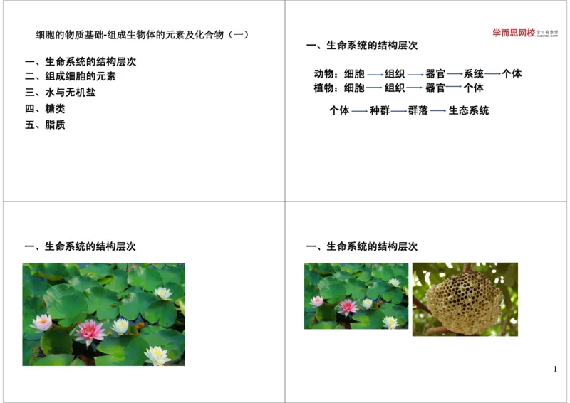 《细胞的物质基础-组成生物体的元素及化合物（一）-de9bd328b70d_学而思高三全套_高三录播课程各种版本_高三一轮二轮_29709-56高考生物一轮总复习（必修+选修1、3）》第1页预览