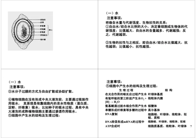 《细胞的物质基础-组成生物体的元素及化合物（一）-de9bd328b70d_学而思高三全套_高三录播课程各种版本_高三一轮二轮_29709-56高考生物一轮总复习（必修+选修1、3）》第7页预览