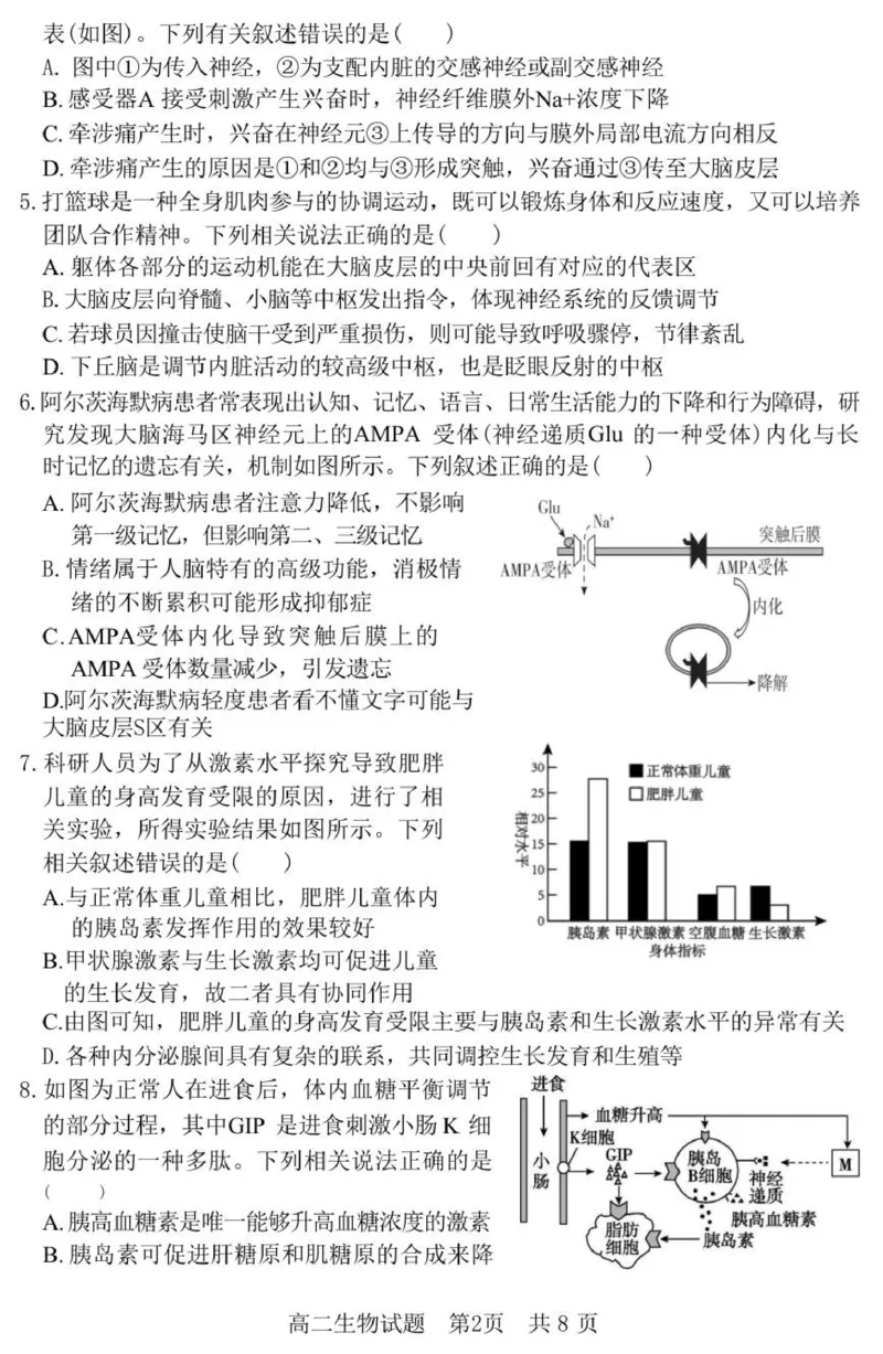 《（教研室提供）山东省济宁市兖州区2025-2026学年高二上学期期中生物试题_2026年高二《月考+期中考+阶段性检测真题合集》全国各省全科无水印》第2页预览
