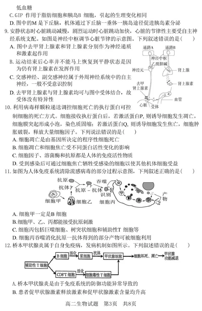 《（教研室提供）山东省济宁市兖州区2025-2026学年高二上学期期中生物试题_2026年高二《月考+期中考+阶段性检测真题合集》全国各省全科无水印》第3页预览