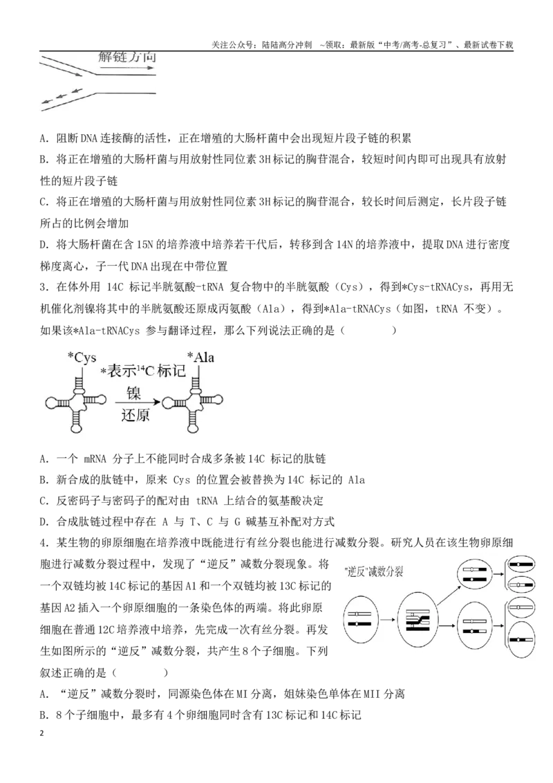 《尖子生突破07同位素的利用和荧光标记法（原卷版）_06-生物-高考总复习_专项复习_2024年_2024年高考生物重难点突破精讲_资料》第2页预览