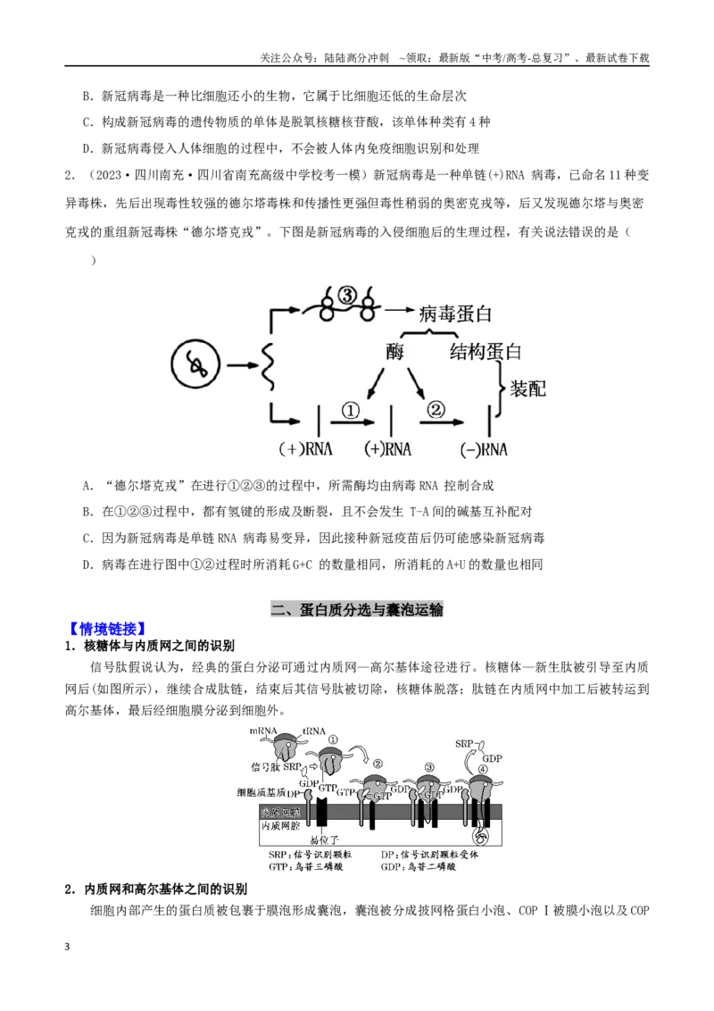 《微专题01细胞的结构和功能观（原卷版）_06-生物-高考总复习_二轮复习_2024年_2024高三生物高考二轮复习热点命题专题真题模拟题_资料》第3页预览