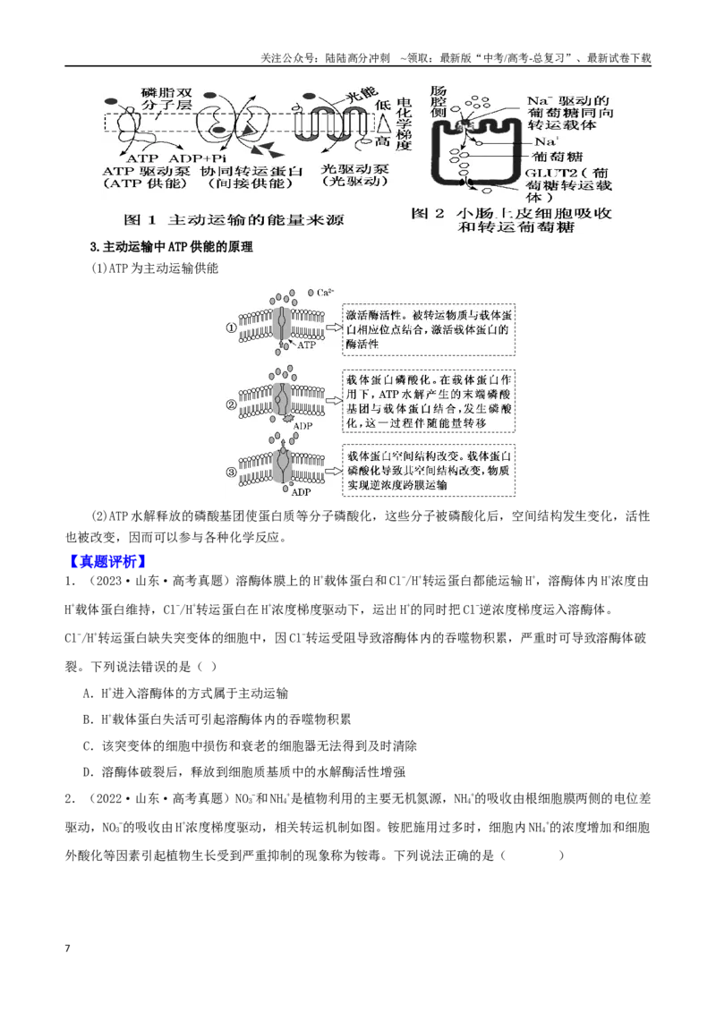 《微专题01细胞的结构和功能观（原卷版）_06-生物-高考总复习_二轮复习_2024年_2024高三生物高考二轮复习热点命题专题真题模拟题_资料》第7页预览