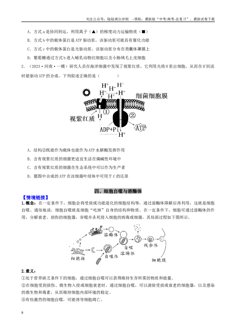 《微专题01细胞的结构和功能观（原卷版）_06-生物-高考总复习_二轮复习_2024年_2024高三生物高考二轮复习热点命题专题真题模拟题_资料》第9页预览