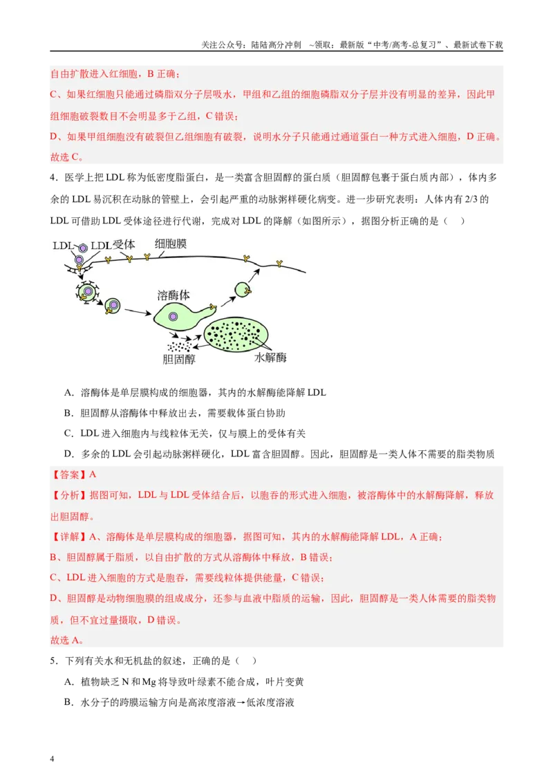 《微专题1物质的运输方式解析版_06-生物-高考总复习_专项复习_2025年_2025年高考生物考前冲刺微专题限时练（全国通用）_资料》第4页预览
