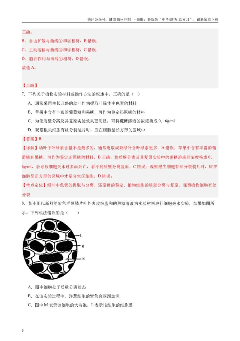 《微专题1物质的运输方式解析版_06-生物-高考总复习_专项复习_2025年_2025年高考生物考前冲刺微专题限时练（全国通用）_资料》第6页预览