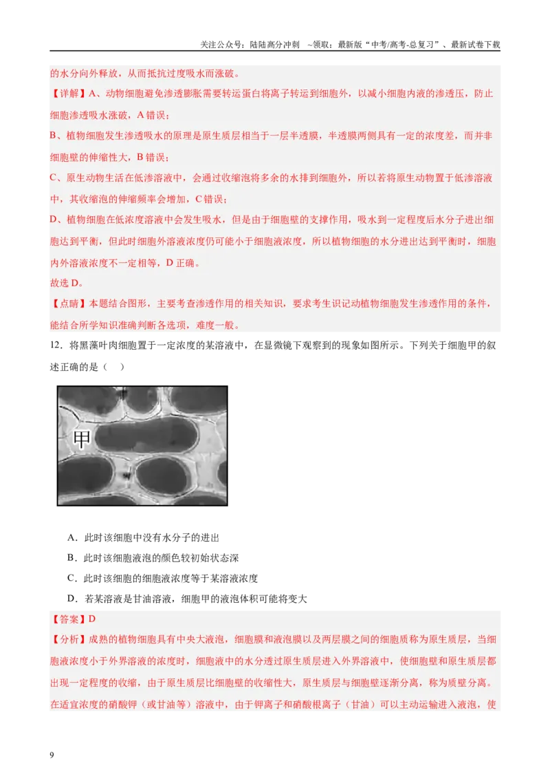 《微专题1物质的运输方式解析版_06-生物-高考总复习_专项复习_2025年_2025年高考生物考前冲刺微专题限时练（全国通用）_资料》第9页预览