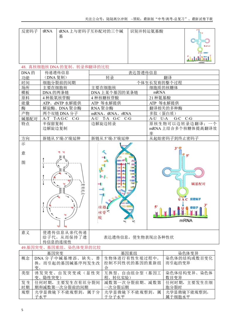 《必修2遗传与进化-_06-生物-高考总复习_专项复习_2025年_2025年高考生物必背知识速记归纳》第5页预览