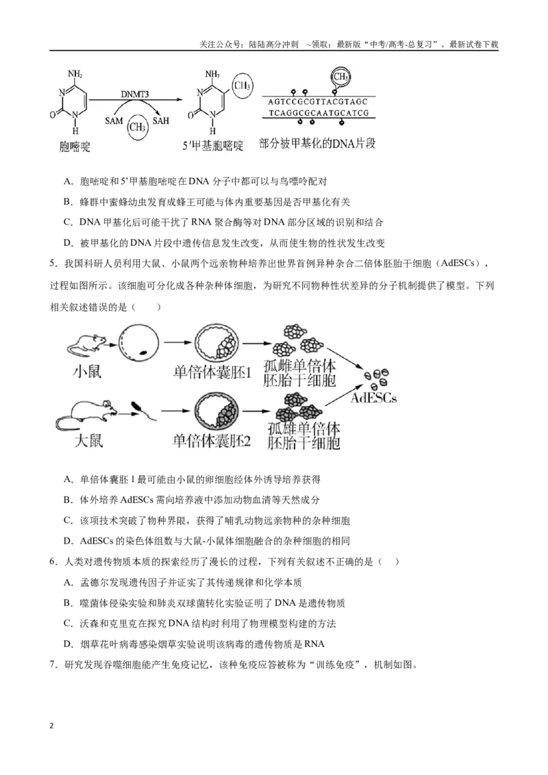 《必修2遗传与进化必刷卷01（原卷版）_06-生物-高考总复习_一轮复习_2024年_2024年高考生物一轮复习收官必刷卷（新教材新高考）_资料》第2页预览
