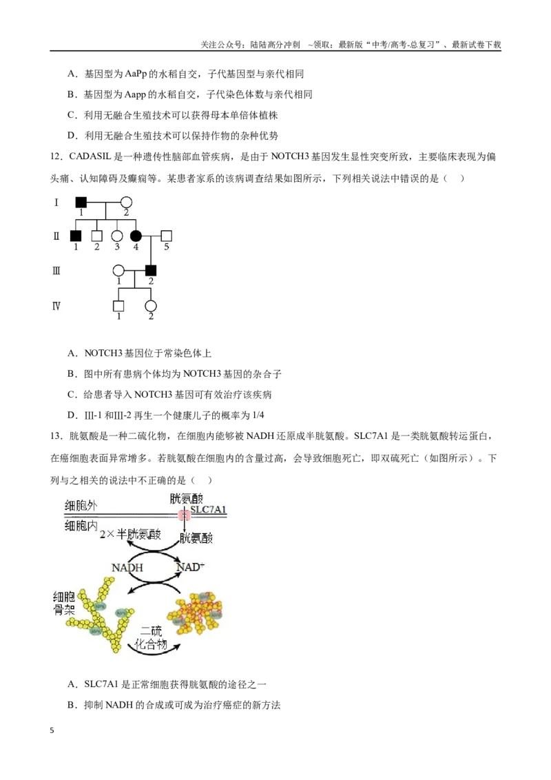 《必修2遗传与进化必刷卷01（原卷版）_06-生物-高考总复习_一轮复习_2024年_2024年高考生物一轮复习收官必刷卷（新教材新高考）_资料》第5页预览