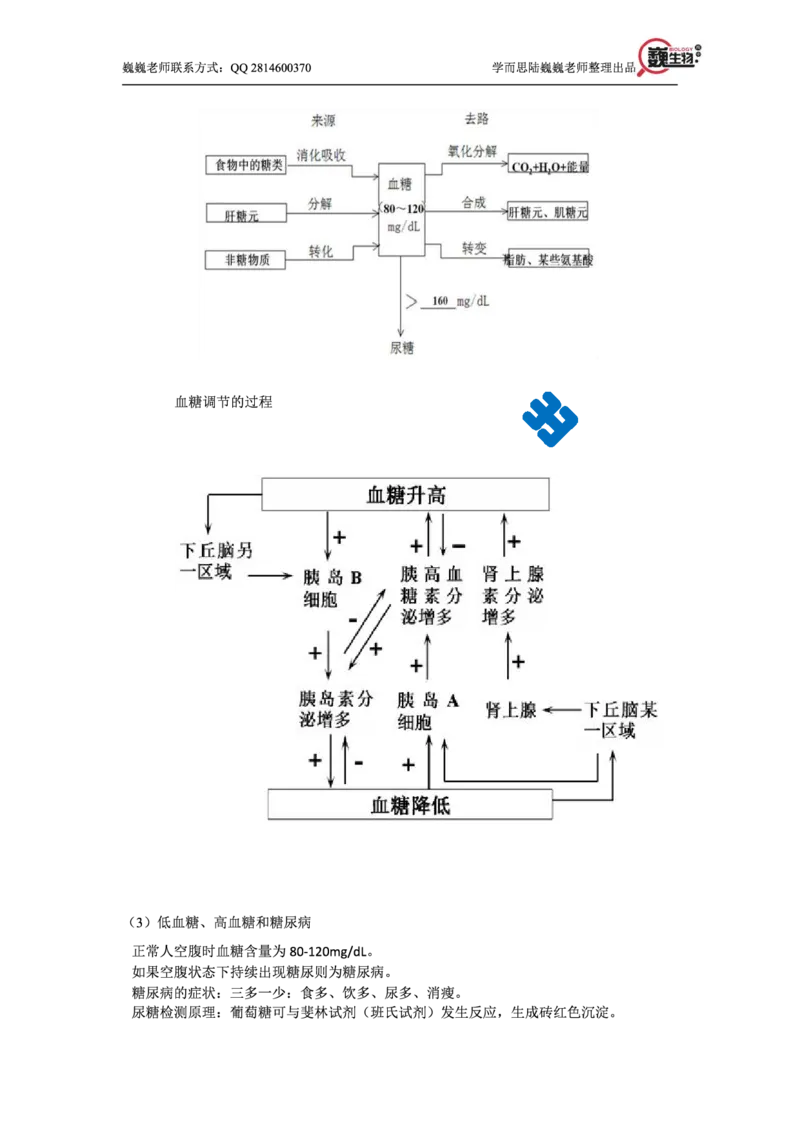 《高考生物春季二轮冲刺：细胞的物质与结构专题（巍巍老师独家整理）-0f3a9b246baf_学而思高三全套_2020春季高三_20春季目标清北班高三生物2轮复习（全国）14讲陆巍巍》第10页预览