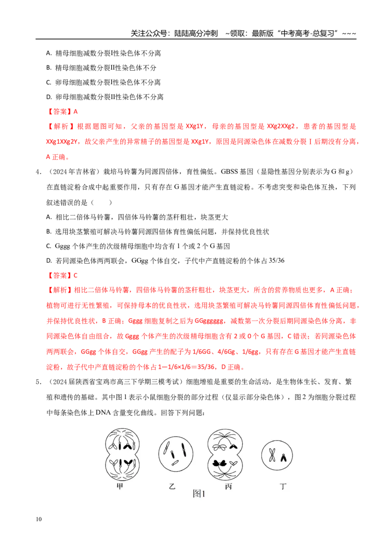 《培优专题04细胞分裂与可遗传变异（高效培优讲义）（全国通用）（教师版）_06-生物-高考总复习_一轮复习_2026年-生物高考一轮复习_2026版_一轮培优提升》第10页预览