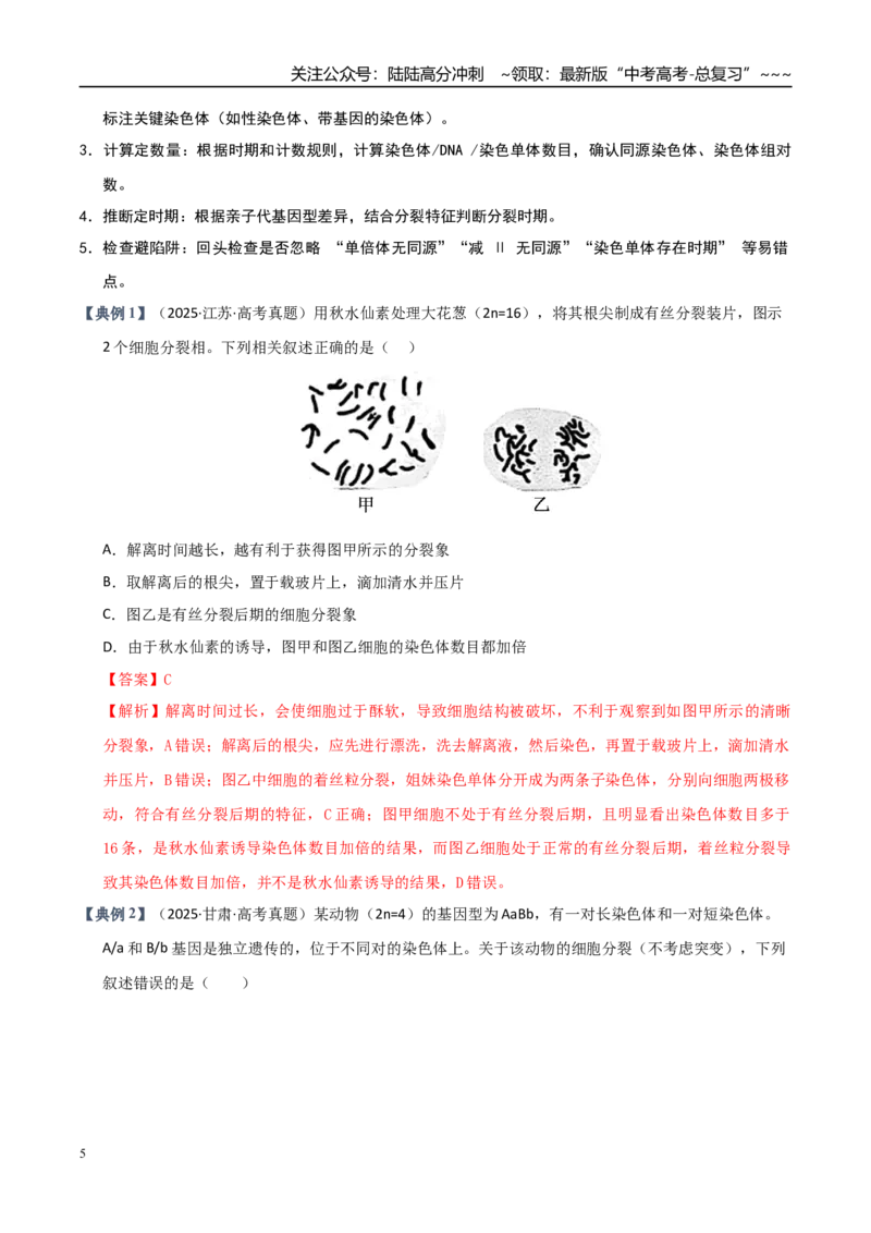 《培优专题04细胞分裂与可遗传变异（高效培优讲义）（全国通用）（教师版）_06-生物-高考总复习_一轮复习_2026年-生物高考一轮复习_2026版_一轮培优提升》第5页预览