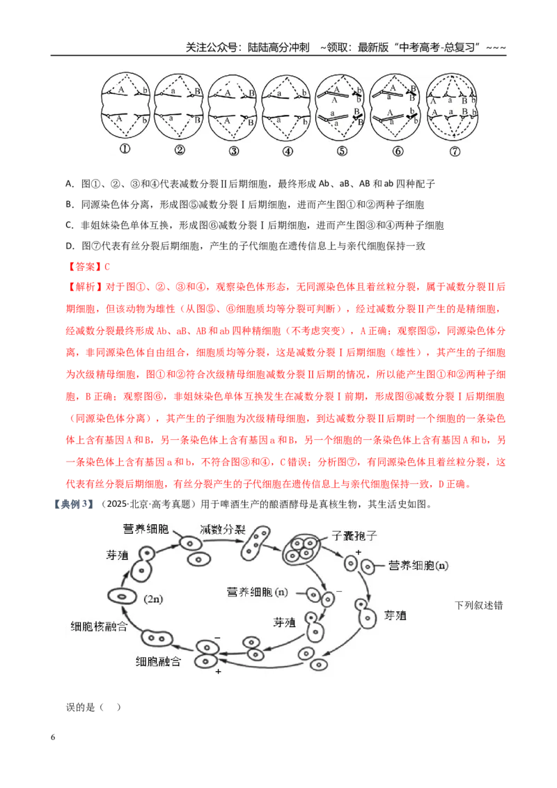 《培优专题04细胞分裂与可遗传变异（高效培优讲义）（全国通用）（教师版）_06-生物-高考总复习_一轮复习_2026年-生物高考一轮复习_2026版_一轮培优提升》第6页预览