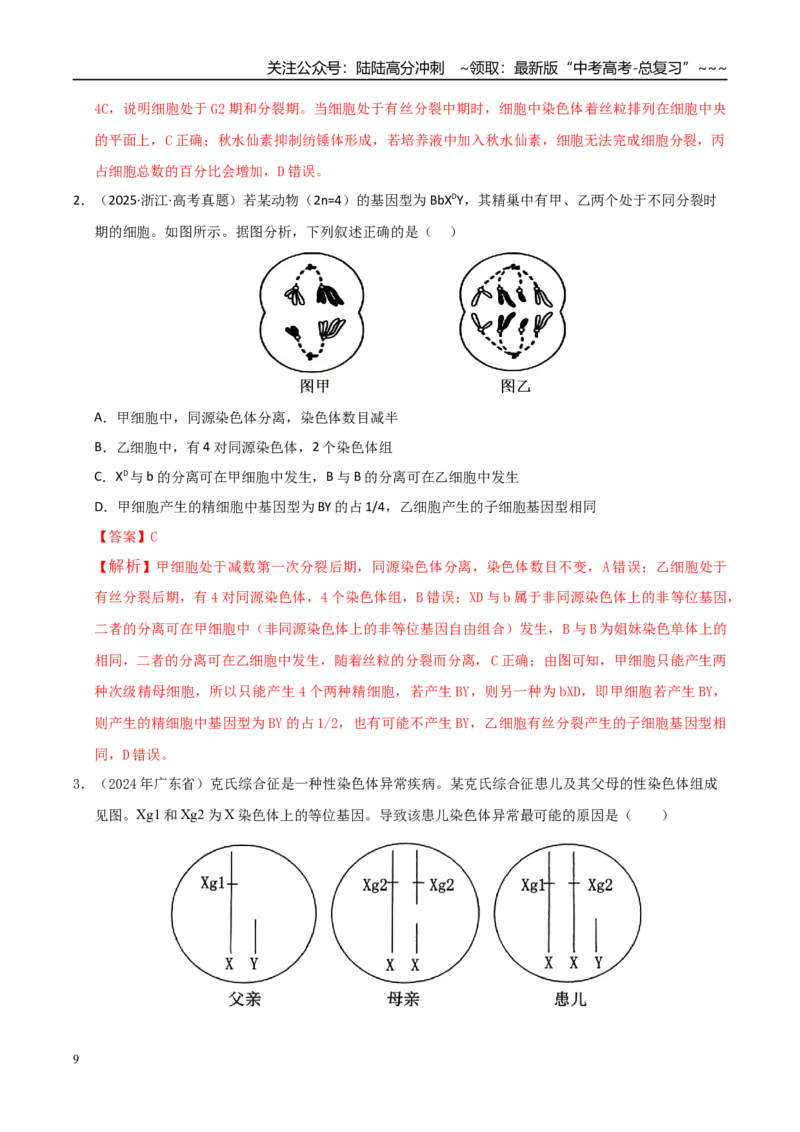 《培优专题04细胞分裂与可遗传变异（高效培优讲义）（全国通用）（教师版）_06-生物-高考总复习_一轮复习_2026年-生物高考一轮复习_2026版_一轮培优提升》第9页预览