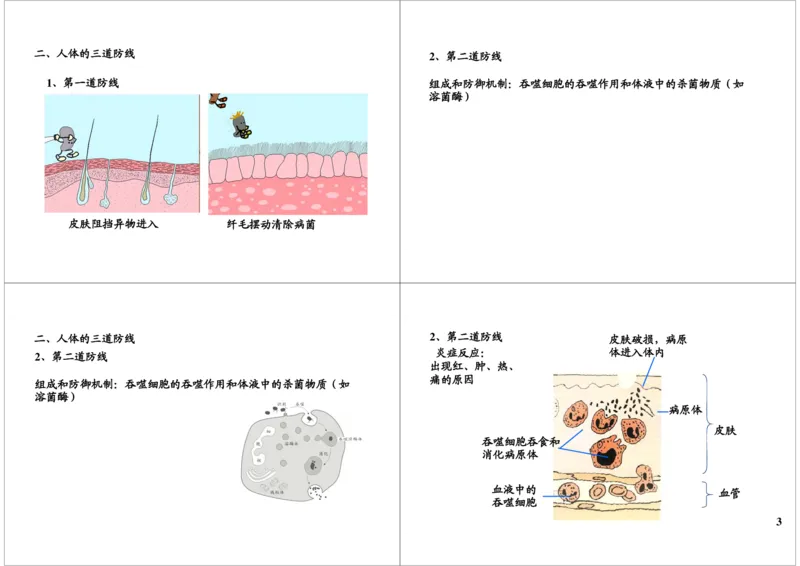 《免疫-免疫系统的组成及特异性免疫过程（一轮下）-f0905d76c07d_学而思高三全套_高三录播课程各种版本_高三一轮二轮_29709-56高考生物一轮总复习（必修+选修1、3）》第3页预览