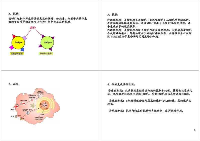 《免疫-免疫系统的组成及特异性免疫过程（一轮下）-f0905d76c07d_学而思高三全套_高三录播课程各种版本_高三一轮二轮_29709-56高考生物一轮总复习（必修+选修1、3）》第5页预览