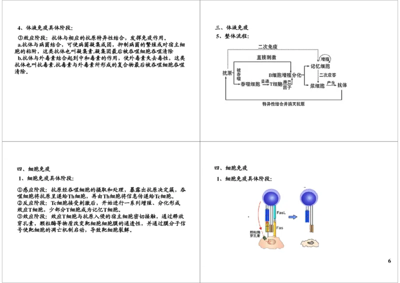 《免疫-免疫系统的组成及特异性免疫过程（一轮下）-f0905d76c07d_学而思高三全套_高三录播课程各种版本_高三一轮二轮_29709-56高考生物一轮总复习（必修+选修1、3）》第6页预览