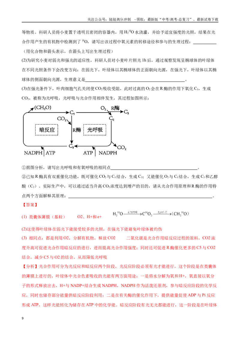 《大题预测01（教师版）_06-生物-高考总复习_专项复习_2025年_2025年高考生物大题突破+限时集训（新高考通用）》第9页预览