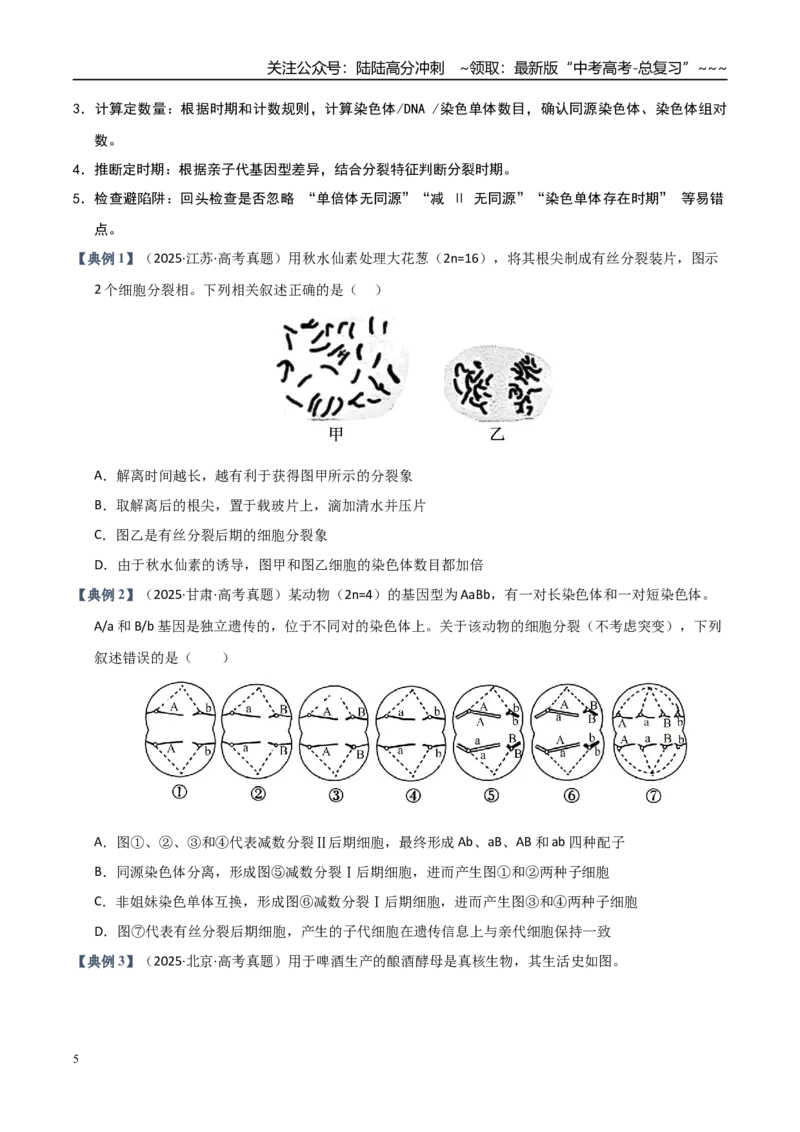 《培优专题04细胞分裂与可遗传变异（高效培优讲义）（全国通用）（学生版）_06-生物-高考总复习_一轮复习_2026年-生物高考一轮复习_2026版_一轮培优提升》第5页预览