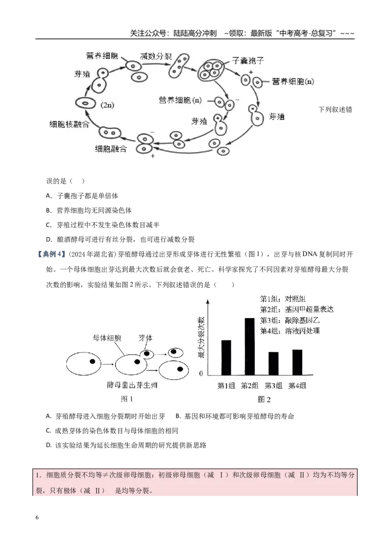 《培优专题04细胞分裂与可遗传变异（高效培优讲义）（全国通用）（学生版）_06-生物-高考总复习_一轮复习_2026年-生物高考一轮复习_2026版_一轮培优提升》第6页预览