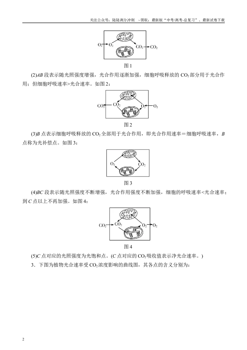 《微专题2光合作用和呼吸作用解析版_06-生物-高考总复习_专项复习_2025年_2025年高考生物考前冲刺微专题限时练（全国通用）_资料》第2页预览
