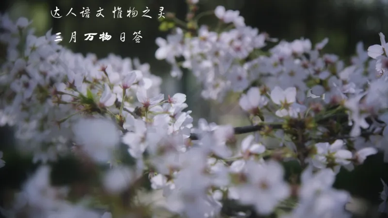 《达人语文作文素材日签合集2021年3月（电脑下载）-4c4a07756eef_小学学而思全套_六年级全套_六年级2020年暑-2021年春直播课程_2021年春季课程六年级》第1页预览