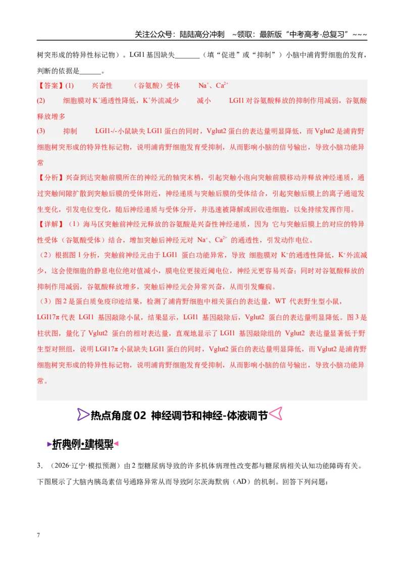 《大题03稳态与调节（4大热点角度精讲精练）（黑吉辽蒙专用）（教师版）_06-生物-高考总复习_专项复习_2026年-生物高考专项复习_2026年高考生物终极冲刺讲练测（黑吉辽蒙专用）-G466_2026版》第7页预览