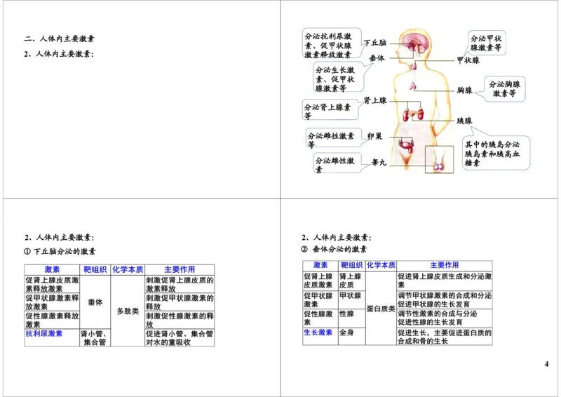 《体液调节-人体常见的激素及作用（一轮下）-7a2c4ae35edb_学而思高三全套_高三录播课程各种版本_高三一轮二轮_29709-56高考生物一轮总复习（必修+选修1、3）》第4页预览