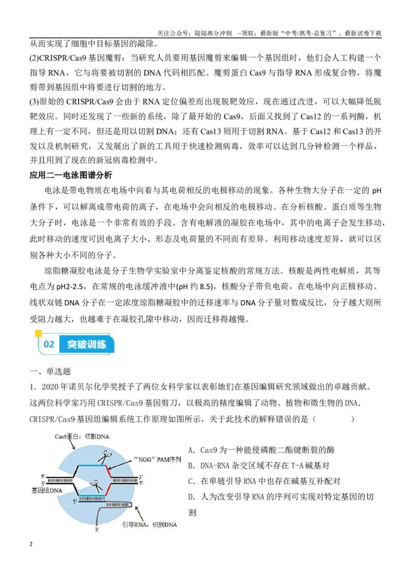 《尖子生突破13CRISPRCas9技术和电泳图谱分析（解析版）_06-生物-高考总复习_专项复习_2024年_2024年高考生物重难点突破精讲_资料》第2页预览