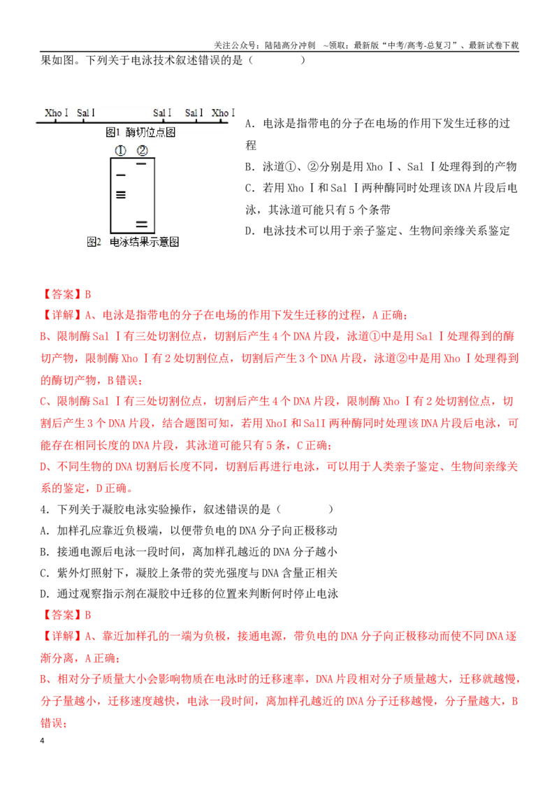 《尖子生突破13CRISPRCas9技术和电泳图谱分析（解析版）_06-生物-高考总复习_专项复习_2024年_2024年高考生物重难点突破精讲_资料》第4页预览