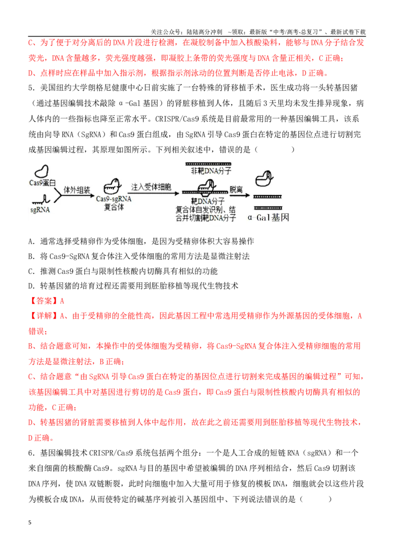 《尖子生突破13CRISPRCas9技术和电泳图谱分析（解析版）_06-生物-高考总复习_专项复习_2024年_2024年高考生物重难点突破精讲_资料》第5页预览