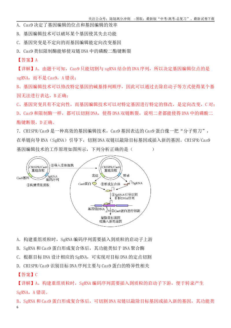 《尖子生突破13CRISPRCas9技术和电泳图谱分析（解析版）_06-生物-高考总复习_专项复习_2024年_2024年高考生物重难点突破精讲_资料》第6页预览