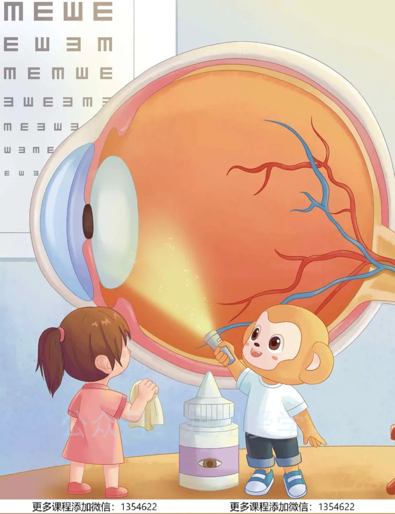 《初一生物-春上-全国版A加-讲义2_Password_Removed-eddb14cf3945_学而思初中1年级_2024春上初一_10.2024春上初一生物A+班张雨桐》第4页预览