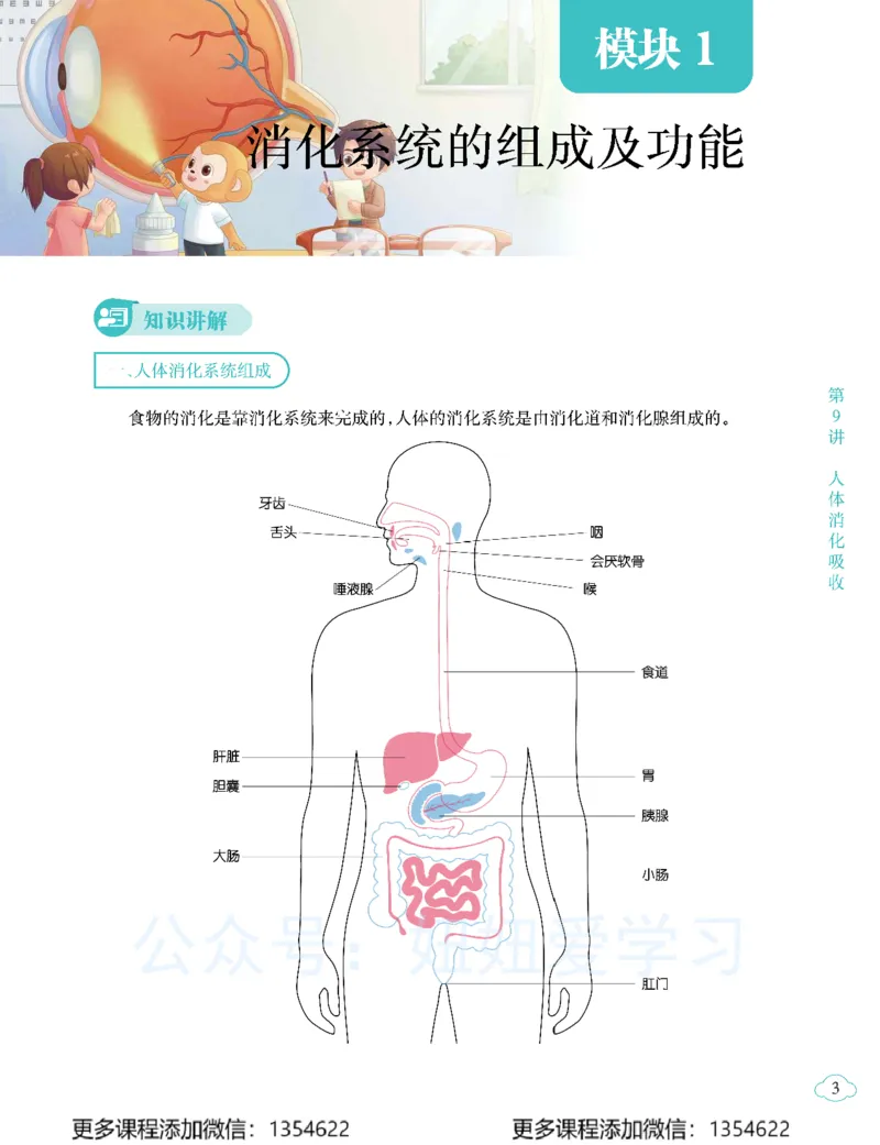 《初一生物-春上-全国版A加-讲义2_Password_Removed-eddb14cf3945_学而思初中1年级_2024春上初一_10.2024春上初一生物A+班张雨桐》第7页预览