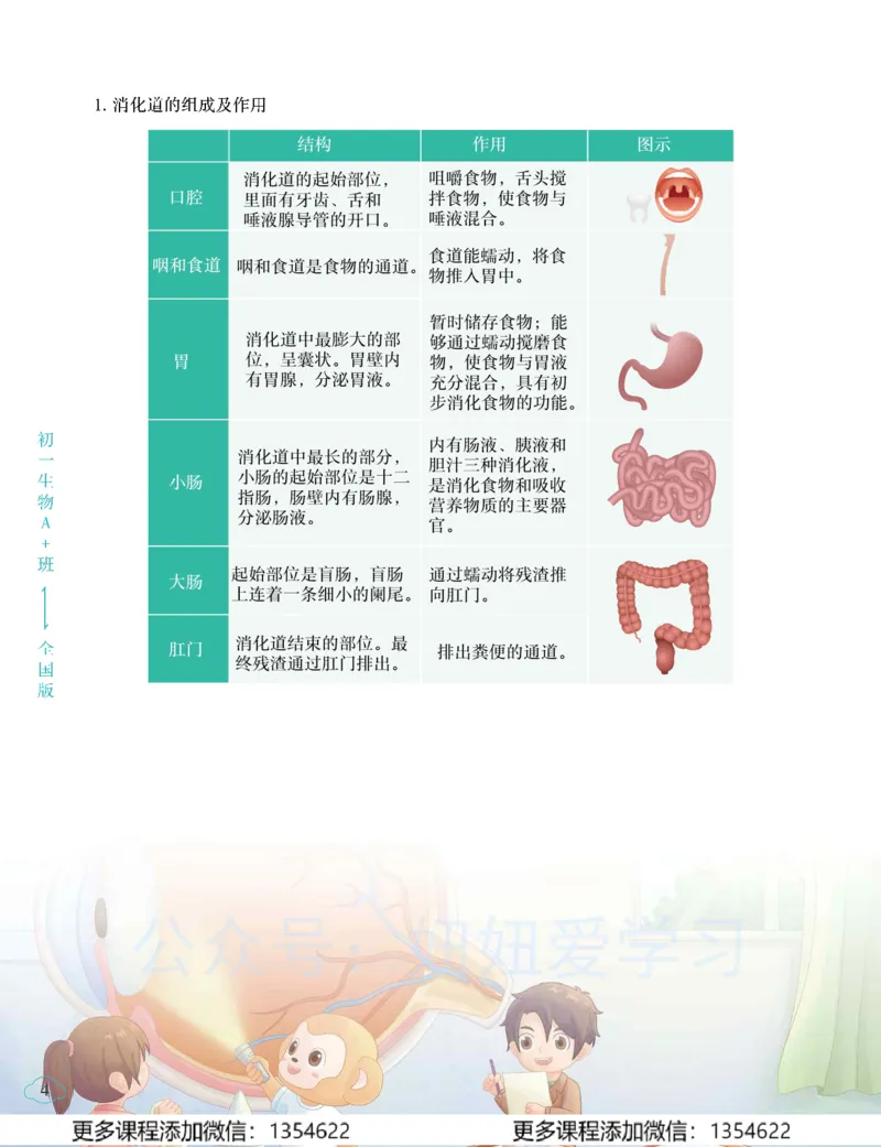 《初一生物-春上-全国版A加-讲义2_Password_Removed-eddb14cf3945_学而思初中1年级_2024春上初一_10.2024春上初一生物A+班张雨桐》第8页预览