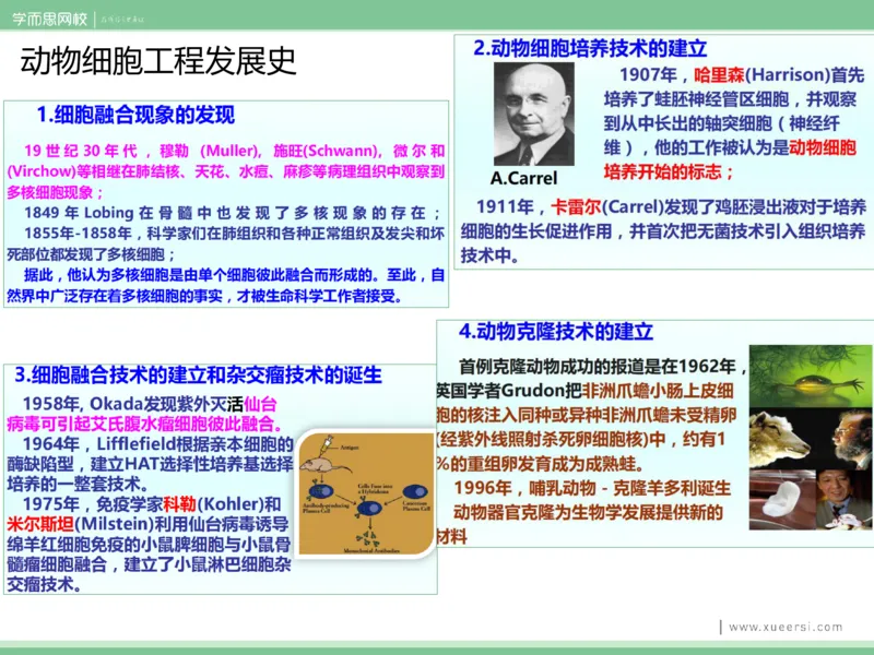 《课件72019寒高二动物细胞工程-f7069fe55f85_学而思高二全套_2020年寒假高二(1)_2020寒假目标清北班高二生物直播班(全国)7讲周云完结_资料》第8页预览