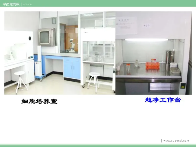 《课件72019寒高二动物细胞工程-f7069fe55f85_学而思高二全套_2020年寒假高二(1)_2020寒假目标清北班高二生物直播班(全国)7讲周云完结_资料》第9页预览