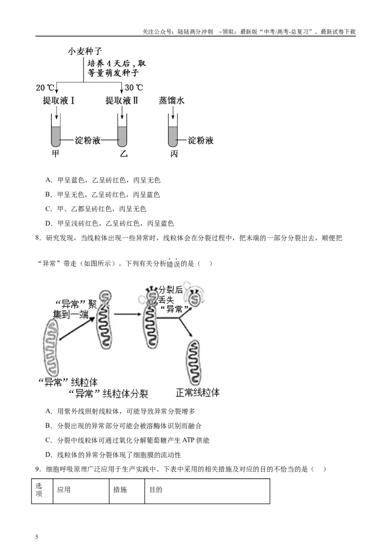 《微专题2光合作用和呼吸作用原卷版_06-生物-高考总复习_专项复习_2025年_2025年高考生物考前冲刺微专题限时练（全国通用）_资料》第5页预览