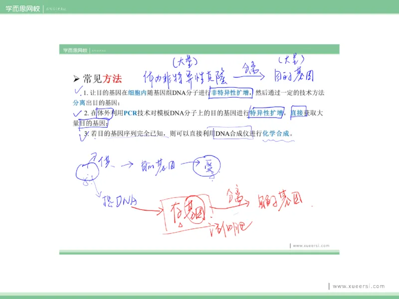 《课件52019寒高二基因工程2-4eb2d77aba70_学而思高二全套_2020年寒假高二(1)_2020寒假目标清北班高二生物直播班（全国）7讲周云完结_资料》第10页预览