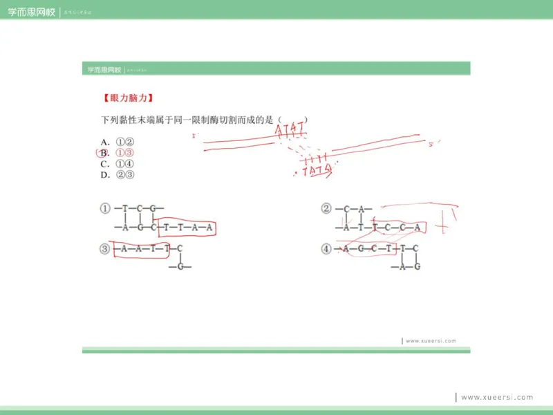 《课件52019寒高二基因工程2-4eb2d77aba70_学而思高二全套_2020年寒假高二(1)_2020寒假目标清北班高二生物直播班（全国）7讲周云完结_资料》第5页预览