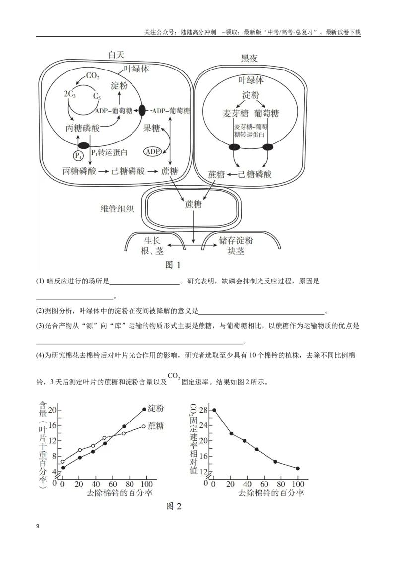 《大题01细胞代谢类（教师版）_06-生物-高考总复习_专项复习_2025年_2025年高考生物大题突破+限时集训（新高考通用）》第9页预览