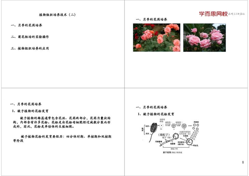 《植物组织培养技术（二）（一轮下）-51d4c24bd9eb_学而思高三全套_高三录播课程各种版本_高三一轮二轮_29709-56高考生物一轮总复习（必修+选修1、3）》第1页预览